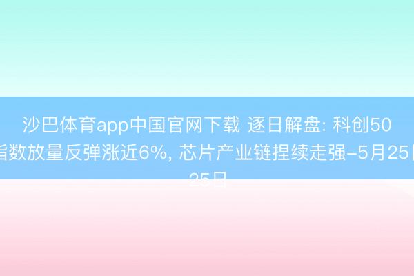 沙巴体育app中国官网下载 逐日解盘: 科创50指数放量反弹涨近6%, 芯片产业链捏续走强-5月25日