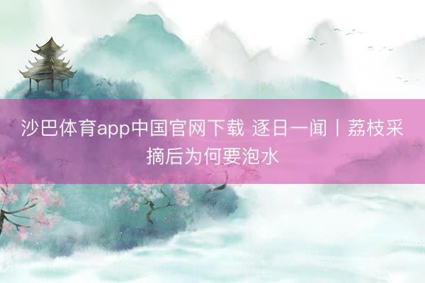 沙巴体育app中国官网下载 逐日一闻丨荔枝采摘后为何要泡水