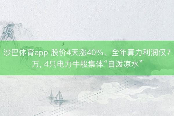 沙巴体育app 股价4天涨40%、全年算力利润仅7万， 4只电力牛股集体“自泼凉水”