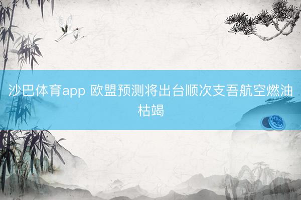 沙巴体育app 欧盟预测将出台顺次支吾航空燃油枯竭