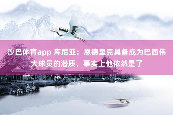 沙巴体育app 库尼亚：恩德里克具备成为巴西伟大球员的潜质，事实上他依然是了